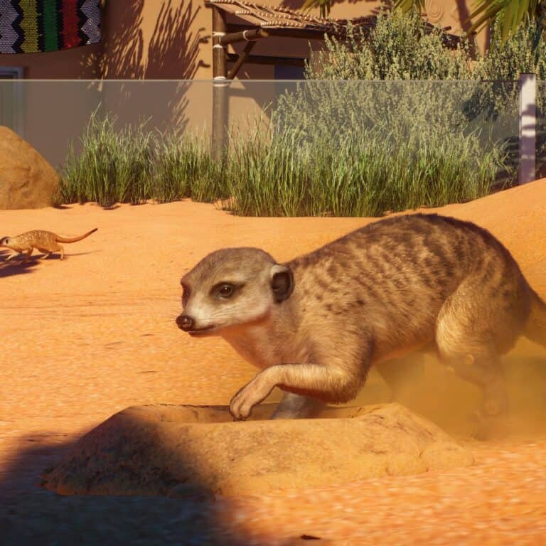 Planet Zoo Africa Pack Launch