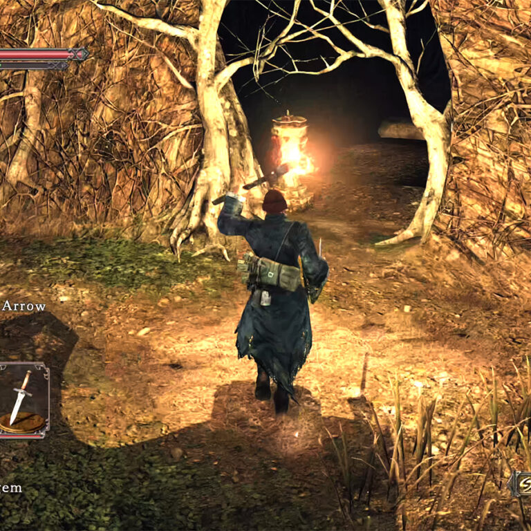 Dark Souls 2 How To Use Torch