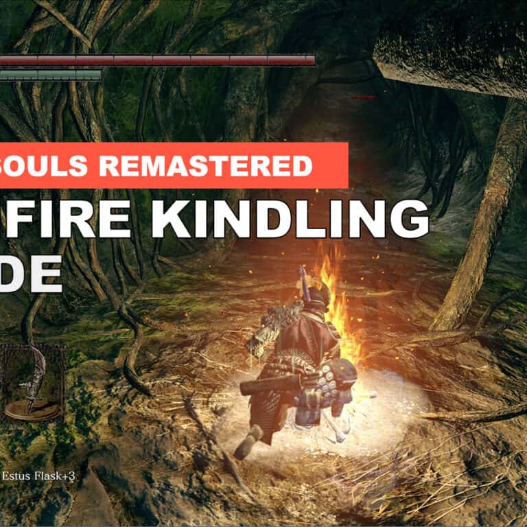 Dark Souls Remastered Kindling