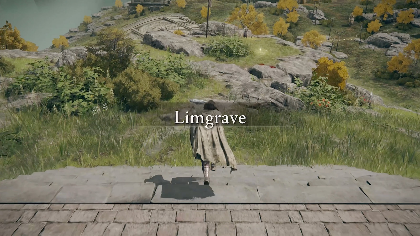 A screenshot from Elden Ring showing Limgrave.